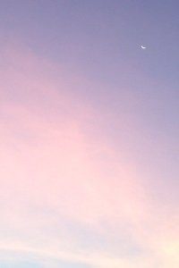 亦敌亦友：选手们以友谊和比赛实力竞争