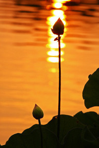 斯图加特球员互相踢踏，主教练怒斥