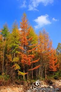 伊瓜茨轰世界波，巴拉多利德客场逆转雷加利亚