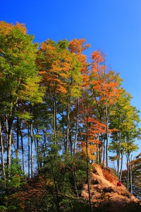 若若尼亚备战欧预赛，备受期待