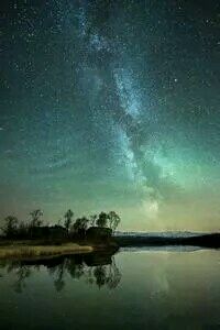 篮网队球员发挥出色，力挫劲敌——一场属于团结与激情的胜利