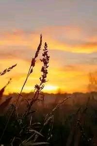 热火队员命中率提升，对手防守难以招架