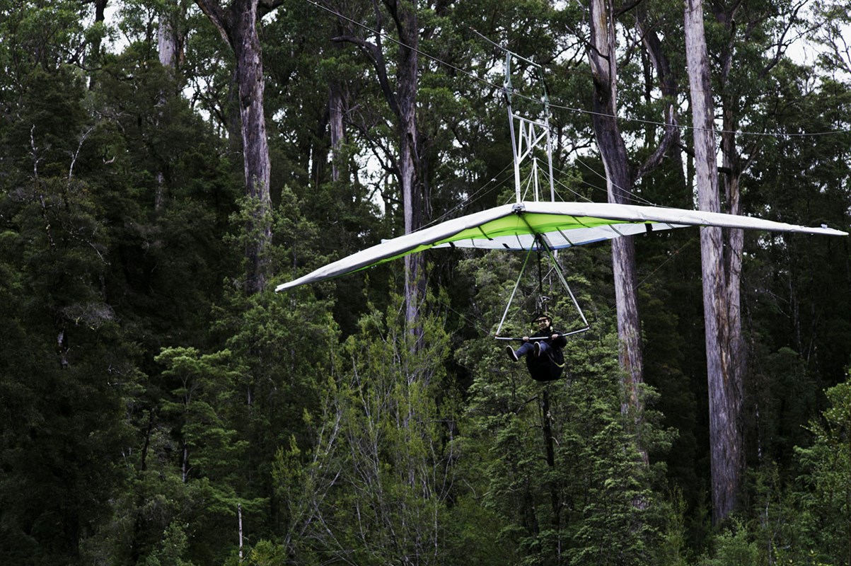 1xbet体育vip注册-关于塔斯马尼亚联战术调整，关键球员或将首发出战的信息