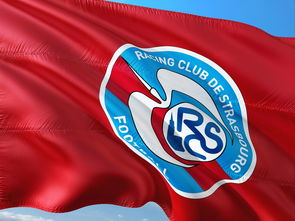 1xbet体育官网入口-帕尔梅拉斯调整进攻阵容,应对强力防守