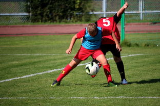 1xbet体育网页版-西悉尼流浪者球员积极备战，誓夺更好名次