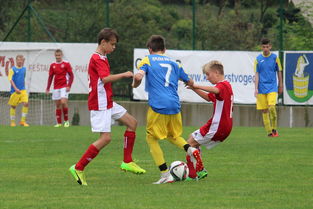 1xbet体育网站入口-帕尔梅拉斯主场迎战阿尔希拉尔，锋线火力引爆看点