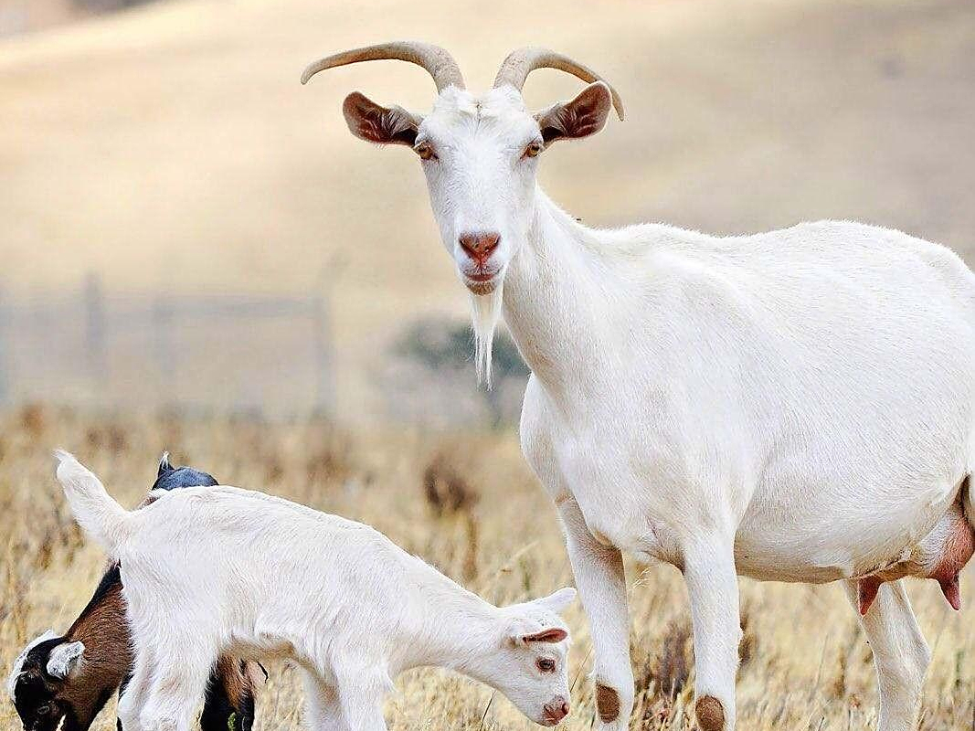 1xbet体育入口-包含马其顿主场战胜蒙古，晋级之路何去何从？的词条